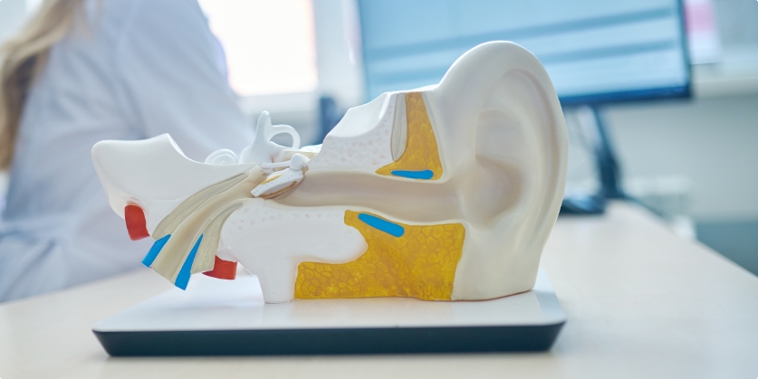 Audiology First Blog